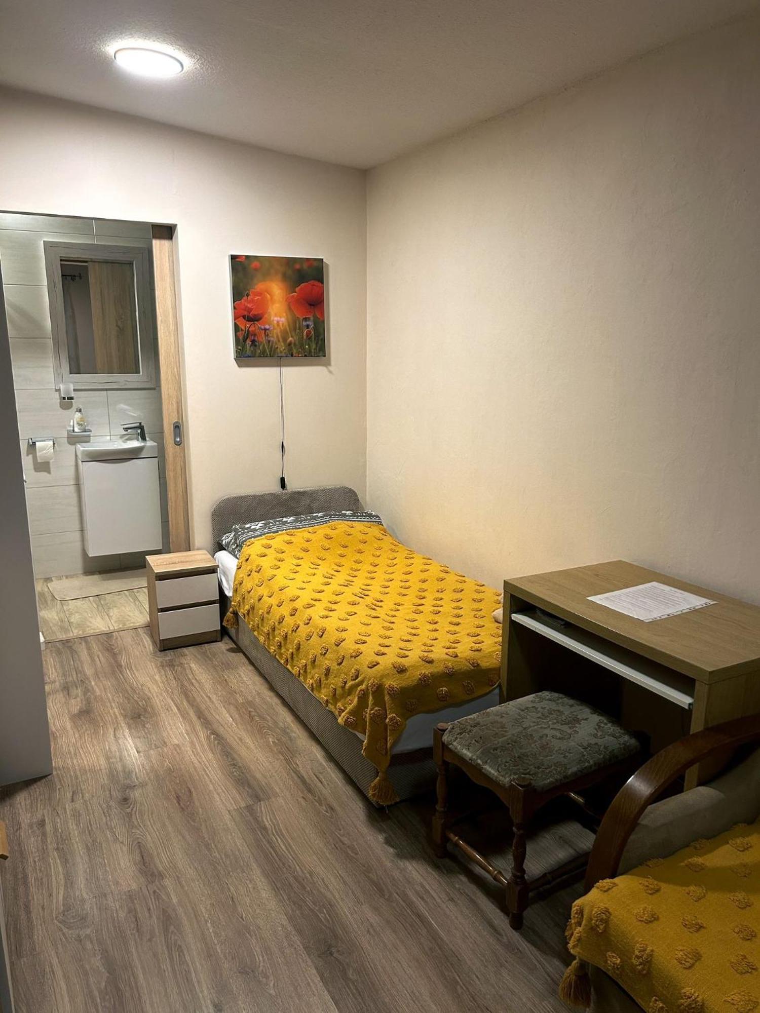 Nowoczesne Studio Z Ogrodem I Parkingiem Poznań Zewnętrze zdjęcie